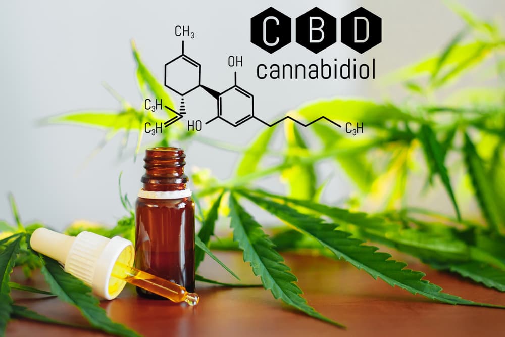 Medical marijuana. Medicinal CBD. Structural model of cannabidiol, chemical formula